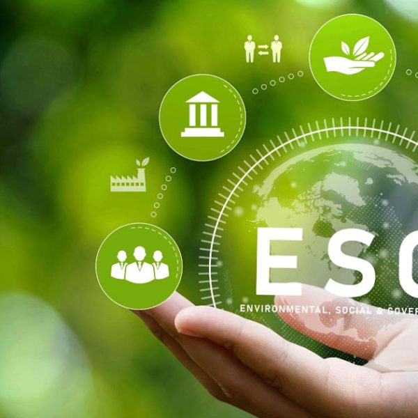 What Is ESG Implementation