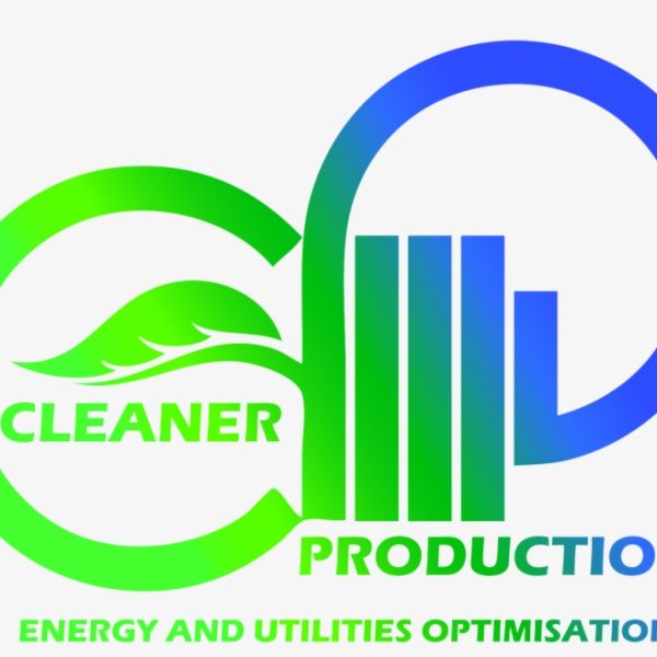 cleaner production consulting