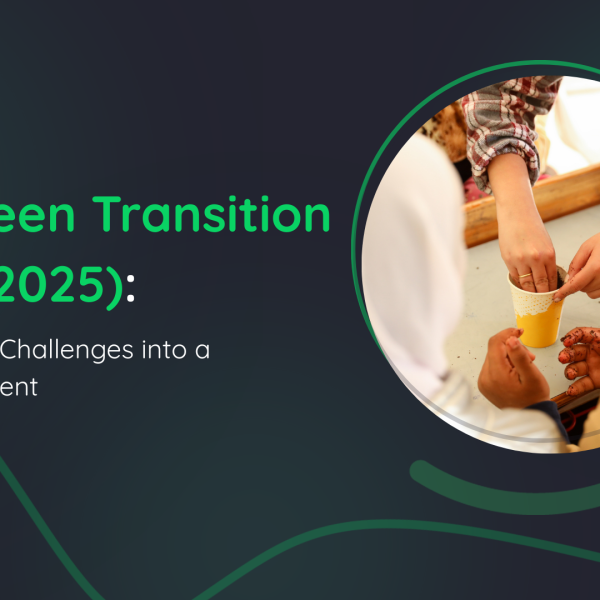 The Green Transition Report 2024–2025