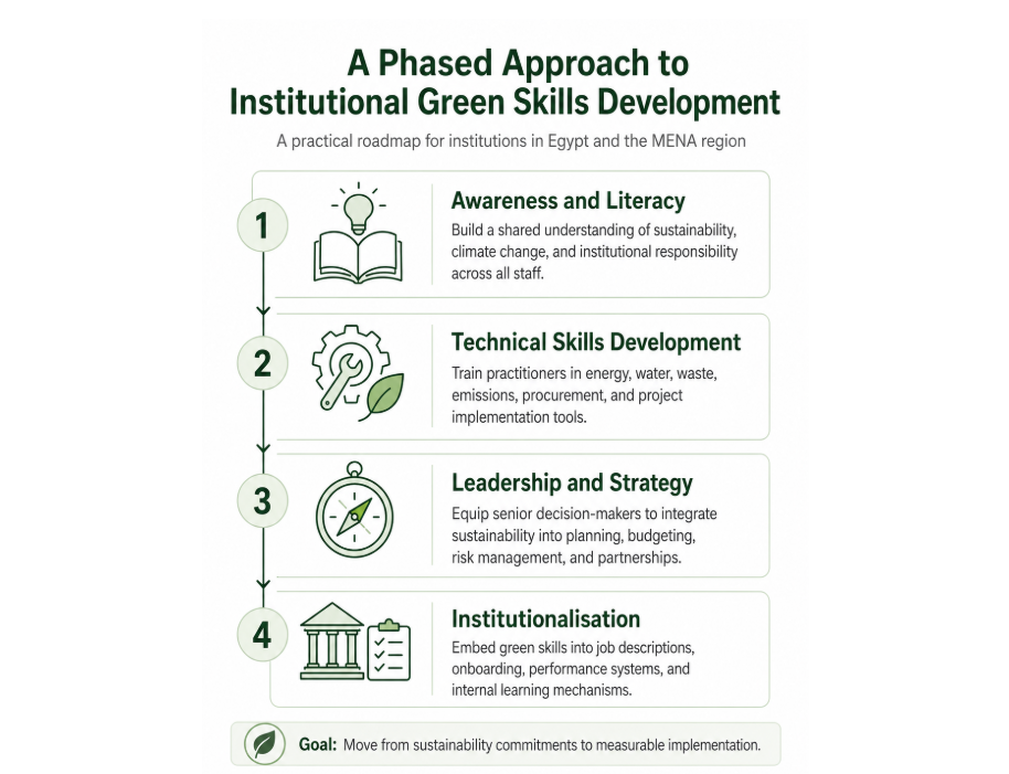 A phased approach to institutional green skills development 