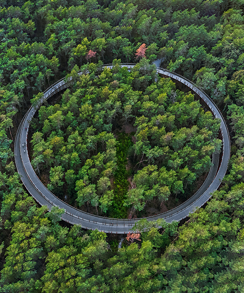 Circular Economy Consulting