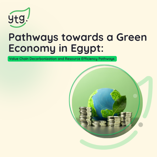 A joint project by YTG and the Wuppertal Institute for Climate, Environment and Energy